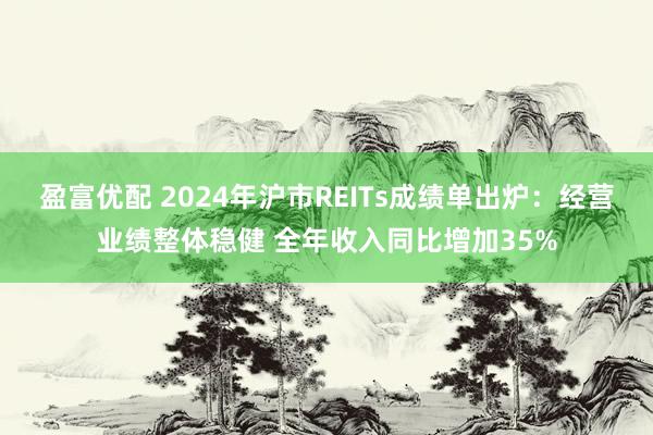 盈富优配 2024年沪市REITs成绩单出炉：经营业绩整体稳健 全年收入同比增加35%