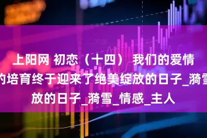 上阳网 初恋（十四） 我们的爱情经过了漫长的培育终于迎来了绝美绽放的日子_漪雪_情感_主人