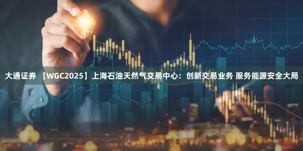 大通证券 【WGC2025】上海石油天然气交易中心：创新交易业务 服务能源安全大局