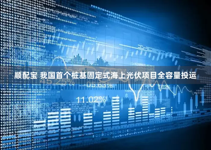 顺配宝 我国首个桩基固定式海上光伏项目全容量投运