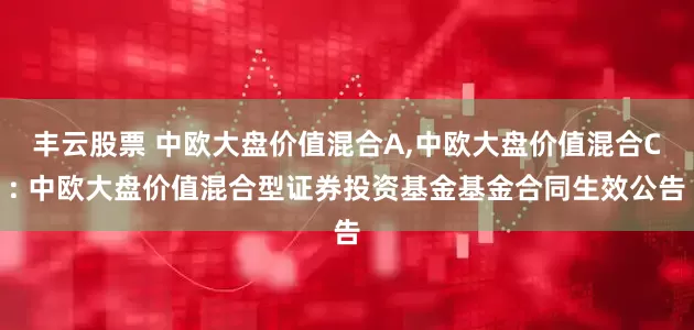 丰云股票 中欧大盘价值混合A,中欧大盘价值混合C: 中欧大盘价值混合型证券投资基金基金合同生效公告